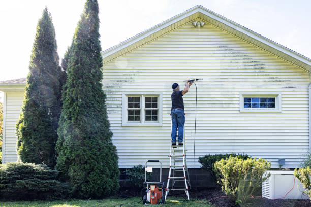 Best Graffiti Removal  in Spanish Lake, MO